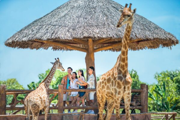 VinWonders Vũ Yên Hải Phòng - Vin Vũ Yên: Tiêu điểm 2023 của Vingroup 12 vinwonders vũ yên hải phòng